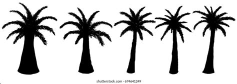 California Silhouette Palm Trees Landscape Wallpaper Stock Vector ...