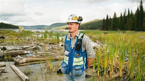 Exciting Environmental Careers Topresume