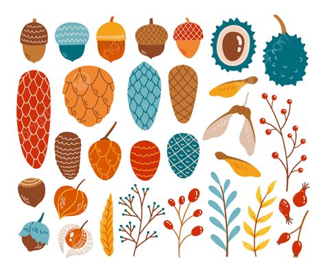 Hello Autumn Fall Season Cone Acorn Branch Chestnut Set Vector