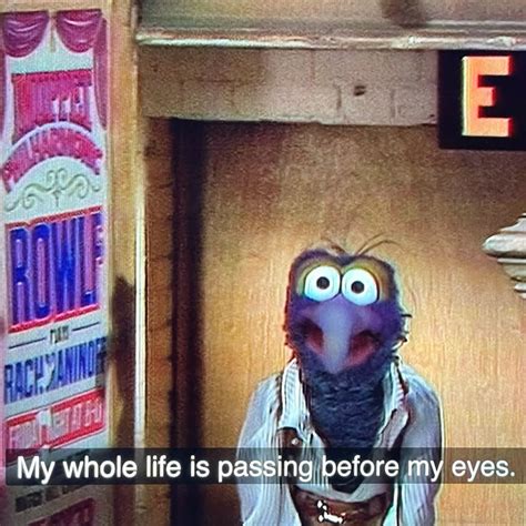 Pin By Ur Gay On Muppets Muppets Christmas Muppets The Muppets