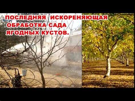 СУПЕР СМЕСЬ МОЧЕВИНА,ЖЕЛЕЗНЫЙ КУПОРОС И ... СУПЕР СМЕСЬ ДЛЯ ОБРАБОТКИ ...