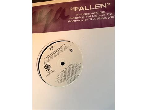 Mya Fallen Remix 12” Vinyl Promo Record My... For Sale | Audiogon