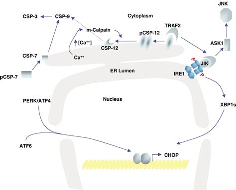 Disulfide Linkage | Semantic Scholar