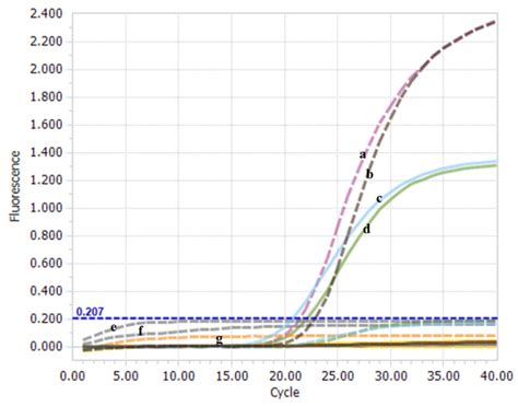 The Feasibility Of The One Step Real Time Taqman Rt Pcr Method Ibdv