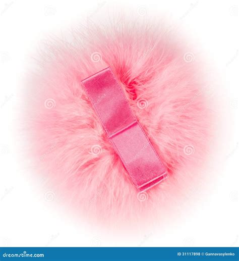 Pink Powder Puff Calliandra Emarginata Or Calliandra Tergemina Var ...