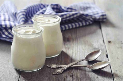 Yogur búlgaro, originalmente procedente de Bulgaria | Bulgaria Guide