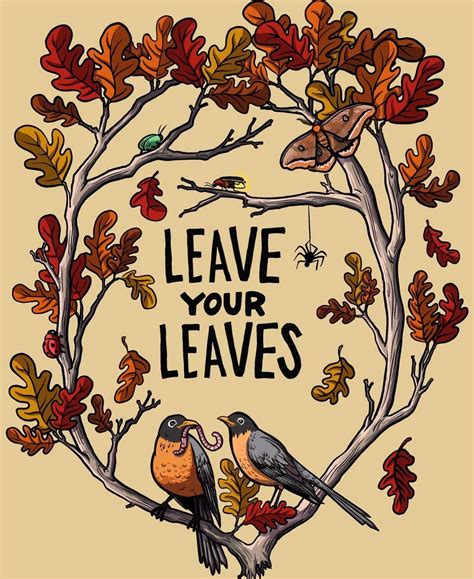 The Scout Guide Chattanooga - HOW DO YOU BUILD A HOUSE? Graham Vannoy