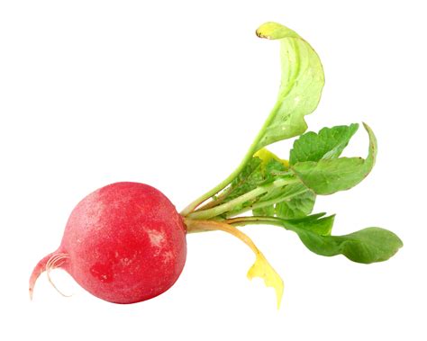 Pin on Food