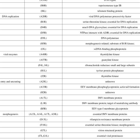 Inhibitors of the orthopoxvirus replication cycle. Virions enter the ...