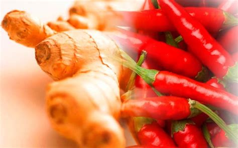 Ginger Chili Peppers Could Work Together To Lower Cancer Risk Seattle