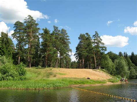 Сосновый бор ленинградская достопримечательности фото и описание