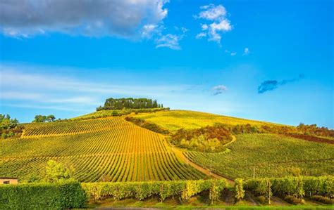 Premium Photo | Hill and vineyards Castellina in Chianti Tuscany Italy