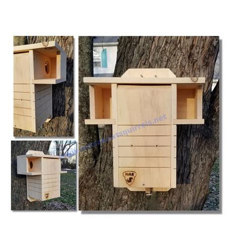 Safe Squirrel Nesting Box, Wildlife Rehab Approved, Eastern Gray ...