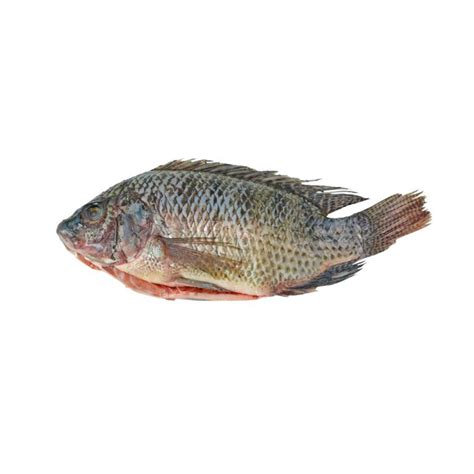 Mojarra Tilapia Entera Ab Pollo M S Que S Lo Pollo