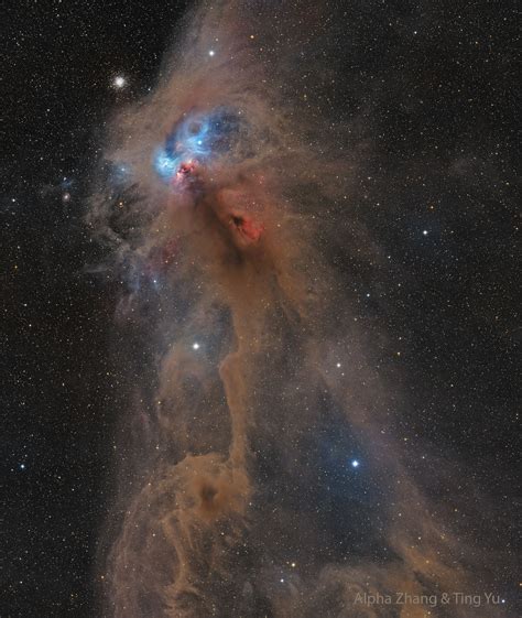 APOD: 2024 September 24 – NGC 6727: The Rampaging Baboon Nebula