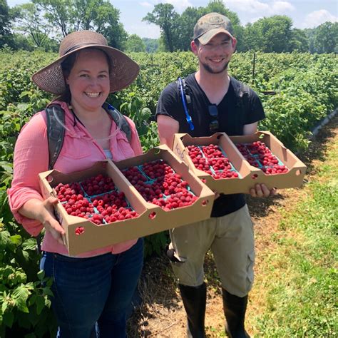 Raspberries! - Farm Happenings at AgriBerry Farm - Harvie