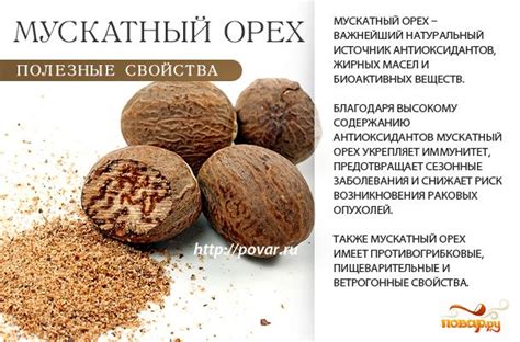 Польза мускатного ореха - чем полезен мускатный орех для организма ...