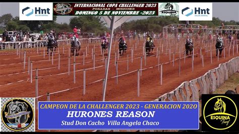 Hurones Reason Campeon Copa Challenger Generacion