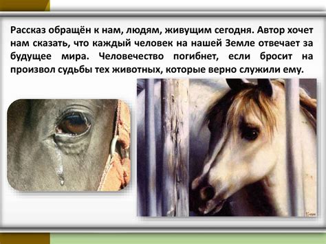 О чём плачут лошади - презентация онлайн