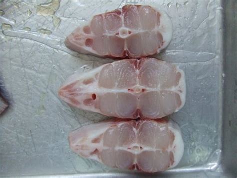 Frozen Pangasius Steak Skinless Vietnam Customers Brand Name Price