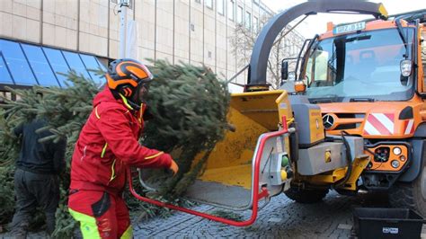 Im Schredder Gelandet Weihnachtsb Ume Von Geras M Rchenmarkt