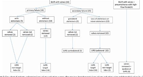 Figure 1 from Lung volume reduction surgery as salvage procedure after ...