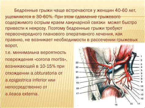 Грыжи живота - презентация онлайн