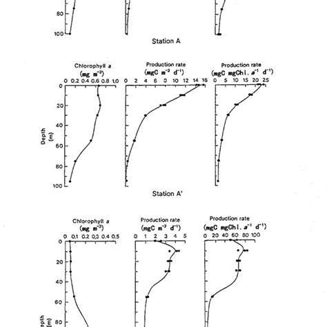 Vertical Profiles Of The Concentration Of Chlorophyll A And Download Scientific Diagram