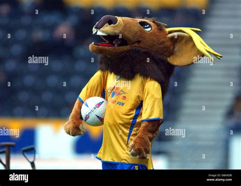 Mansfield towns mascot sammy the stag hi-res stock photography and ...