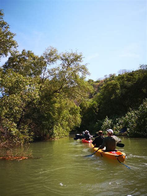 Wildlife Manglar Kayak Tour Francisco Tours