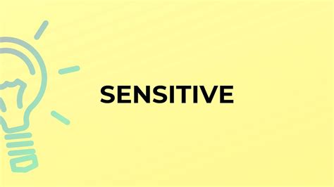 What is the meaning of the word SENSITIVE? - YouTube 