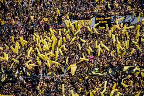 Peñarol x Racing onde assistir ao vivo e prováveis escalações