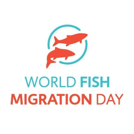 May Is World Fish Migration Day The Fishing Wire