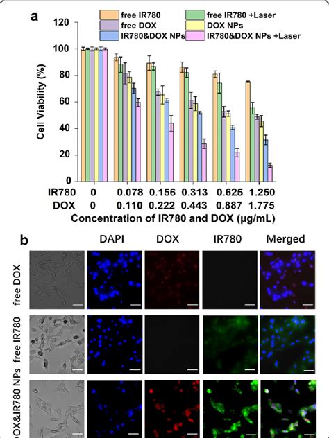 Cell Viability And Uptake Of Ir Dox Nanoparticles A In Vitro