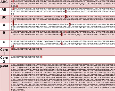 E cad variants and sequence of β cat used in the smFRET experiments