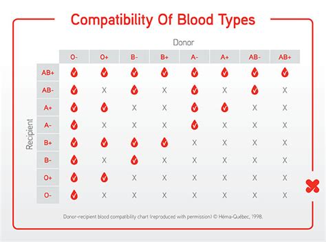 Blood Type Chart And Information On Blood Group Types