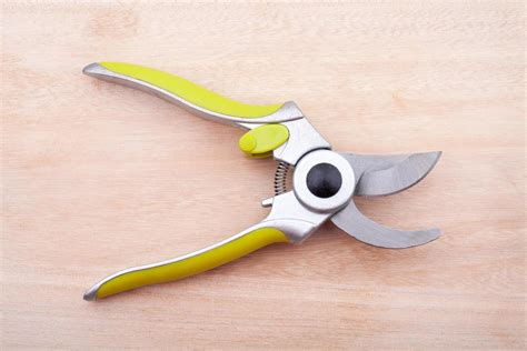 green garden secateurs on wood background 9811257 Stock Photo at Vecteezy