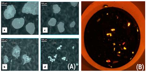 Microplastic Pollution: Chemical Characterization and Impact on Wildlife