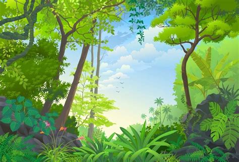 Amazon AOFOTO 7x5ft Vinyl Natural Jungle Backdrop Blue Sky