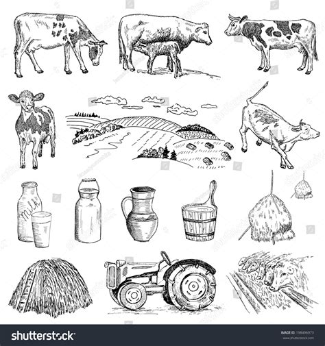 Cow Milk Hand Drawing Set Vector Stock Vector (Royalty Free) 198496973 ...