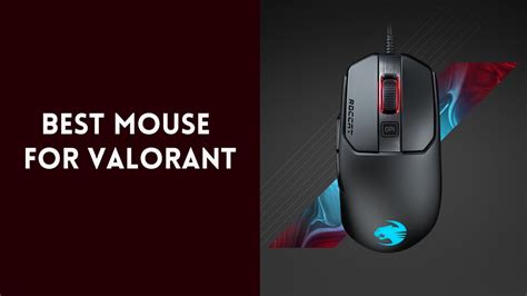 Best Mouse For Valorant For All Types Of Grips