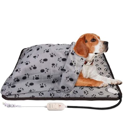 9 Best Heated Dog Beds for Winter | The Family Handyman