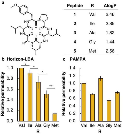 Lipophilicity And Permeability Of Multiple Cyclic Peptides By