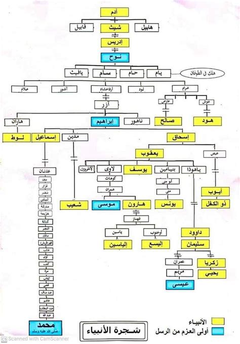 شجرة الأنبياء عليهم السلام مكتبة النور في المانيا