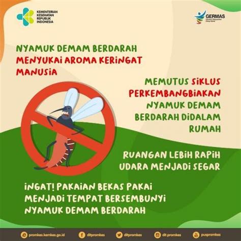 Siklus Demam Berdarah Newstempo