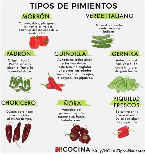 Variedades De Pimientos Más Populares Y Algunas Recetas Con Ellos