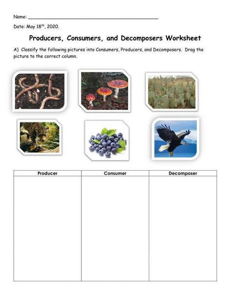 Consumers Producers Decomposers Interactive Worksheet Live