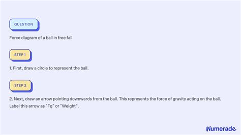 SOLVED: Force diagram of a ball in free fall