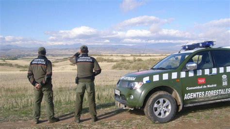 31 de julio día mundial del Guarda Forestal El Consistorio Digital