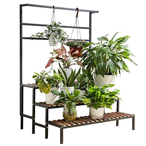 The 10 Best Hanging Plant Stands of 2021 - Plant And Lights